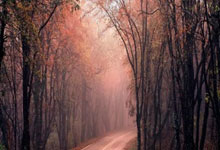 南宫体育：赫塔费vs比利亚雷亚尔：卡莱斯-佩雷斯、胡安米首发，帕雷霍、阿约塞-佩雷斯.