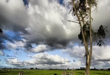 南宫体育：李磊夺得亚冬会越野滑雪女子个人短距离（传统技术）金牌央视新闻客户端.