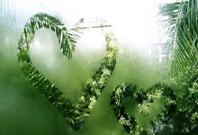 南宫体育：足球老故事｜从中超弃将到澳大利亚国脚，到底是谁看走了眼？.