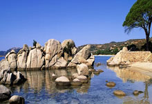 南宫体育：泰国羽毛球大师赛：我国男将郑加恒晋级半决赛.